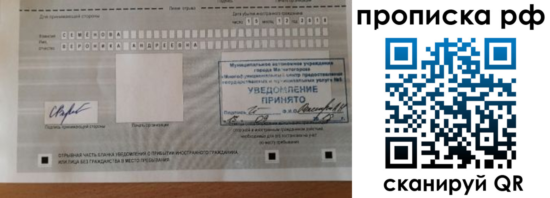 прописка паспорт в Щиграх