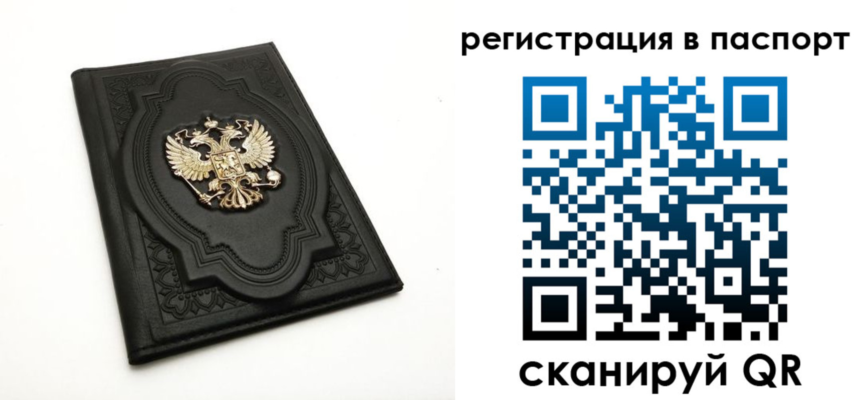 прописка регистрация в Щиграх