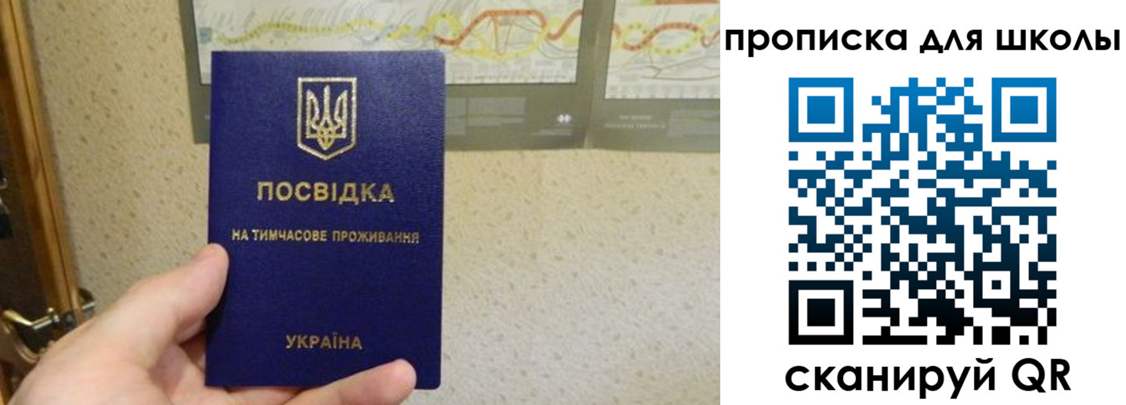 найти адрес прописки в Щиграх